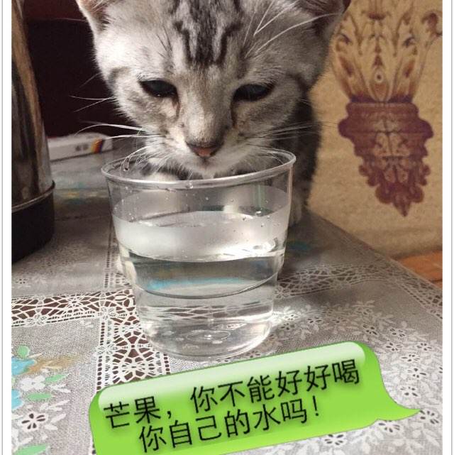 AccademiadiBelleArtidiNapoli计算机科学文凭证书